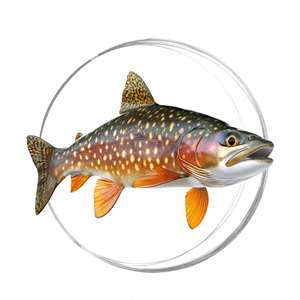 General Fly Fishing Leaders- Freshwater