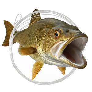 Fly Fishing Leaders- Bass and Warmwater