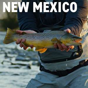Fly Fishing Excursions, Book Fly Fishing Trips