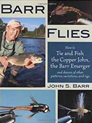 Steelhead Dreams: The Theory, Method, Science and Madness of Great Lakes  Steelhead Fly Fishing: Supinski, Matt: 9781571882196: : Books