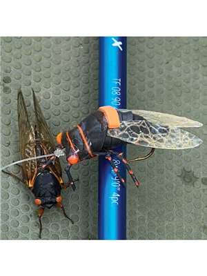 Chocklett's Cicada New Flies at Mad River Outfitters