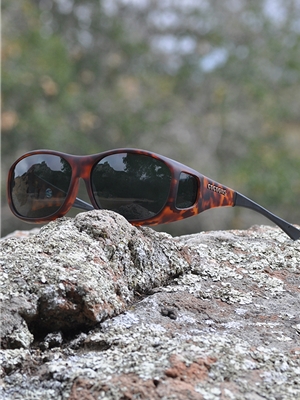 Cocoons Medium with Tortoise Frames and Gray Lens at Mad River Outfitters Cocoons Eyewear