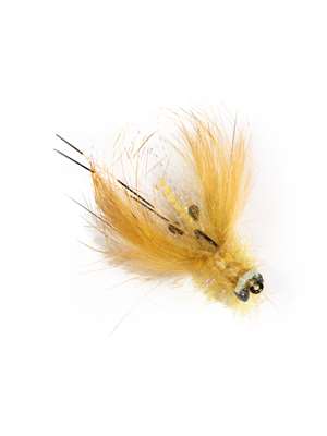 Cray Cray Carp Flies at Mad River Outfitters