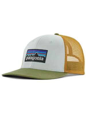 Patagonia P-6 Logo Trucker Hat in Wispy Green New Hats at Mad River Outfitters