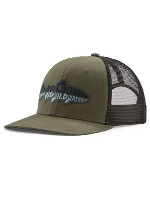 Patagonia Take a Stand Trucker Hat in Wild Waterline: Basin Green