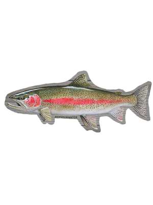 RepYourWater Cold Water Rainbow Sticker Fly Fishing Stickers