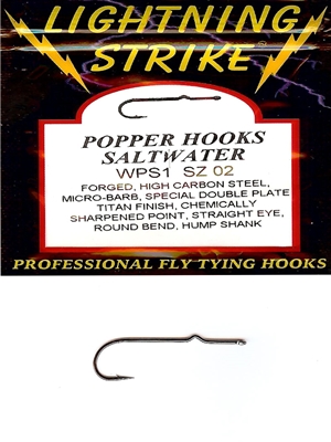 20PCS Saltwater Big Streamer Fly Hook Short-shank 2X Strength Wide Gap  Fishing Hook for Tying Finesse Game Changer Trailer Tube