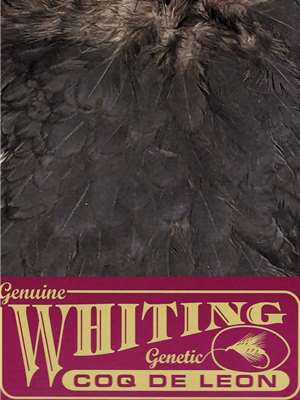 Whiting Farms Coq de Leon Hen Saddle Black available at Mad River Outfitters Hackle and Dry Flies