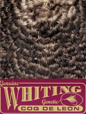 Whiting Farms Coq de Leon Hen Saddle Grizzly available at Mad River Outfitters Hackle and Dry Flies