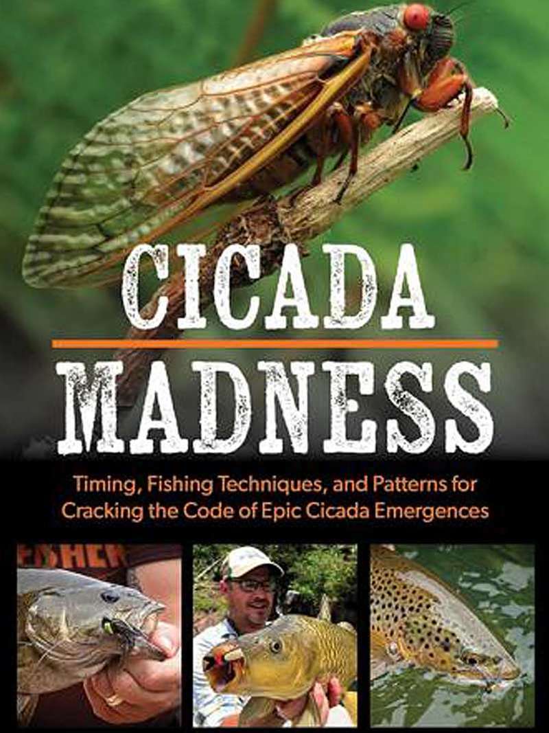Cicada Fishing Flies one of each 10 colour,exciting breakthrough